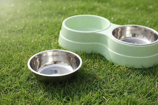 Double Pet Bowls
