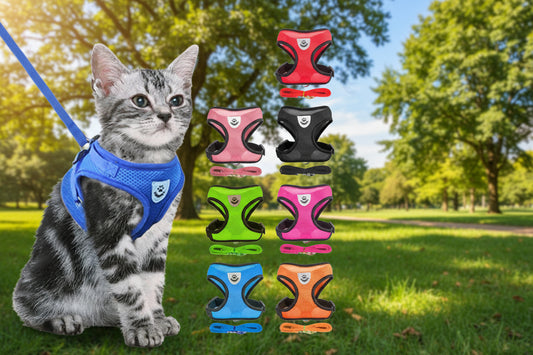 Cat Harness Vest