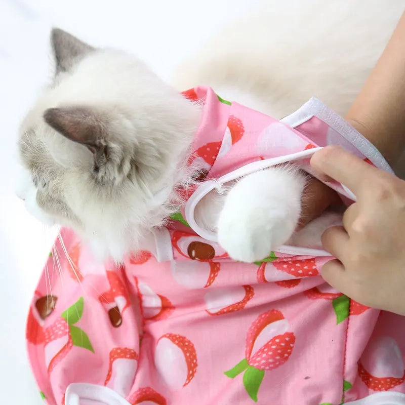 Cat Summer Shirt - Waggy World