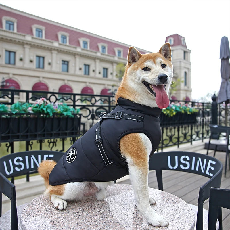 Waterproof Dog Winter Jacket with Harness - Waggy World