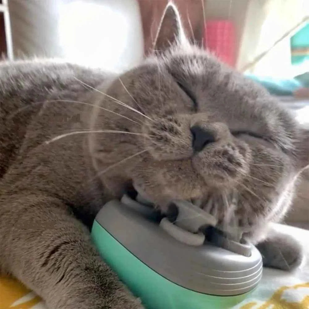 Electric Pet Messager - Keep Your Pets Engaged and Happy