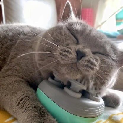Electric Pet Messager