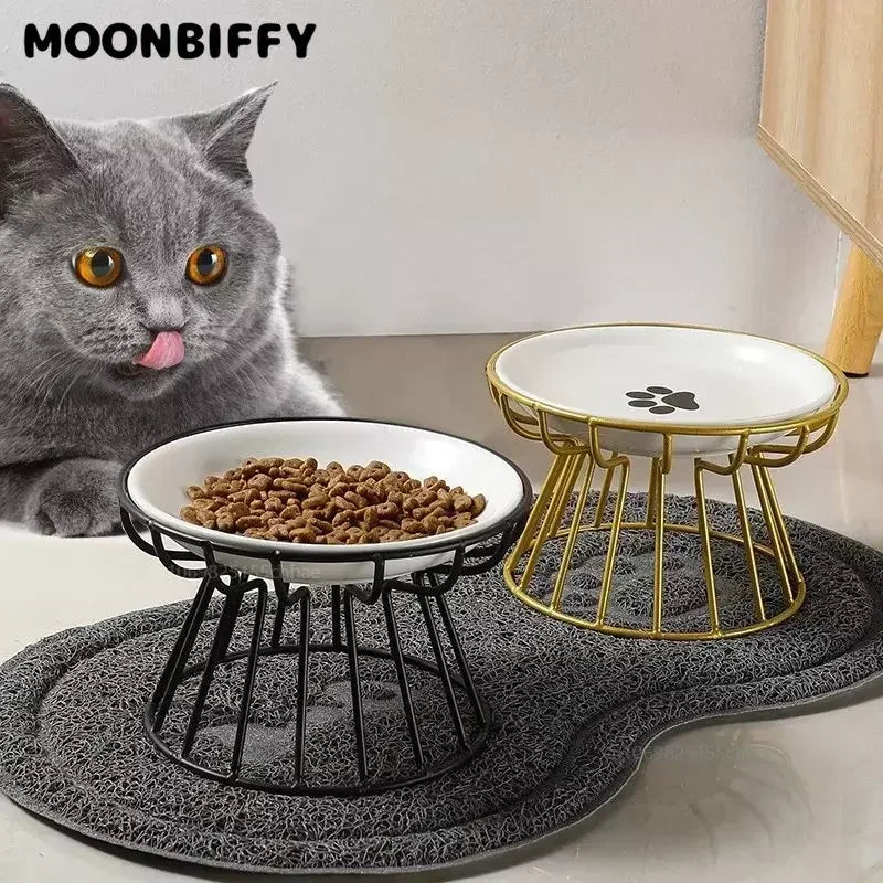 Raised Ceramic Pet Bowl - Waggy World
