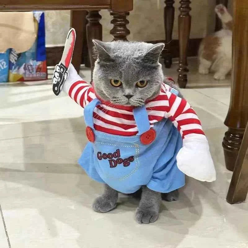 Chucky Cat Costume
