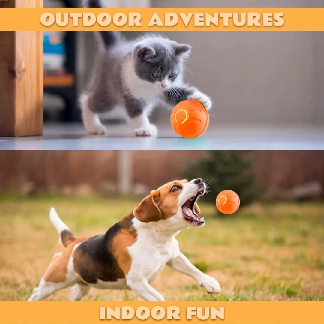 Pet Gravity Ball