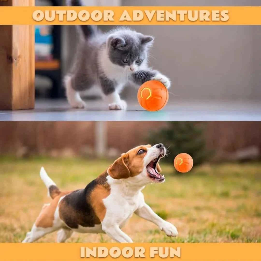 Pet Gravity Ball