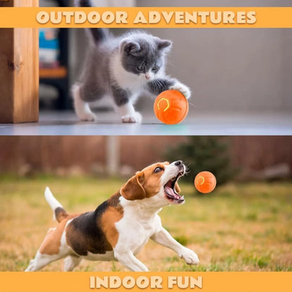 Pet Gravity Ball