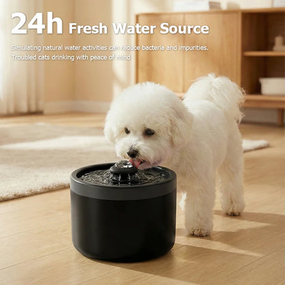 Automatic Water Dispenser