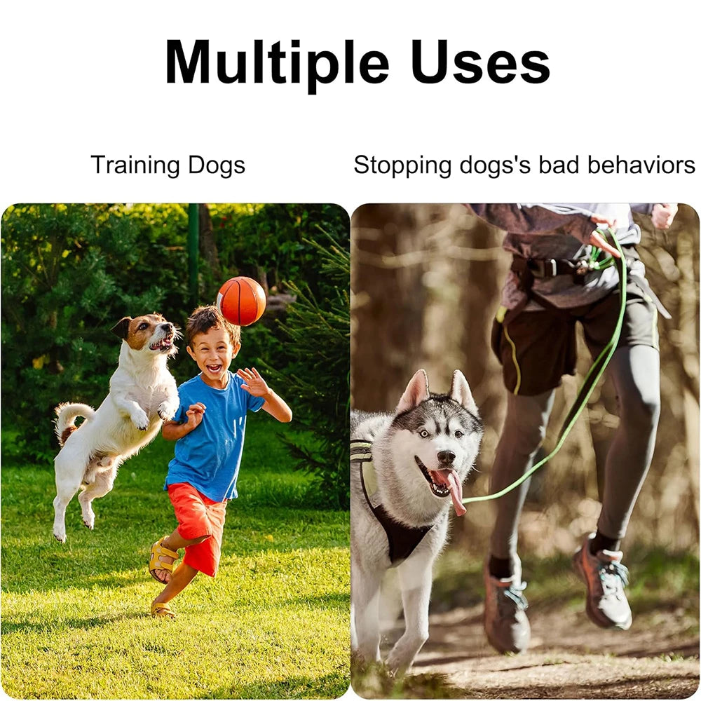 Dog Training Whistle for Obedience Training