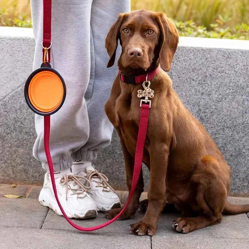 Collapsible Travel Water Bowl