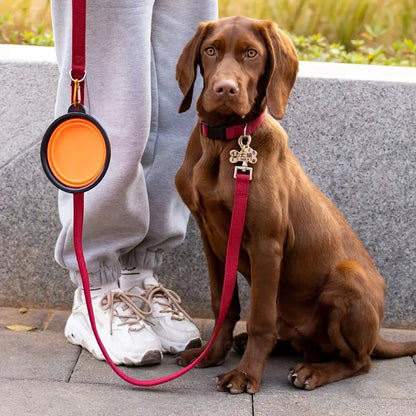 Collapsible Travel Water Bowl