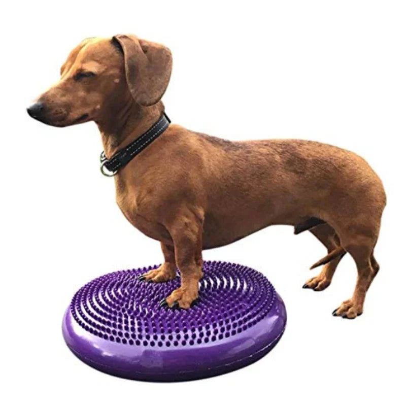 Flying Disc Dog Toy - Waggy World