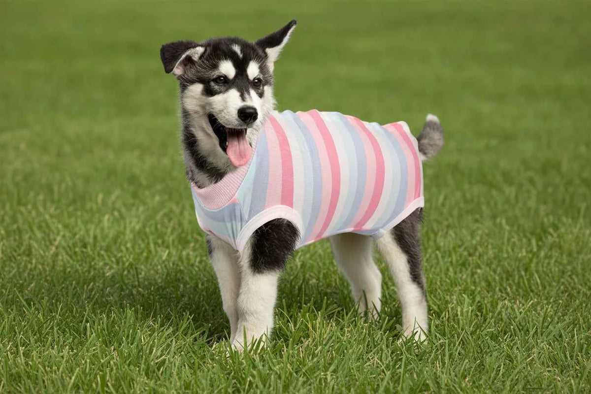 Camo Pet-Jamas