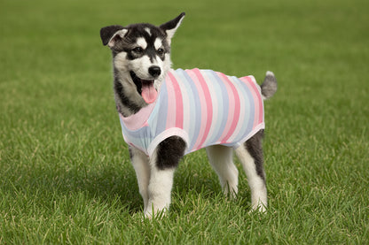 Camo Pet-Jamas