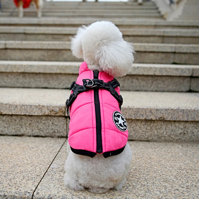 Waterproof Dog Winter Jacket with Harness - Waggy World