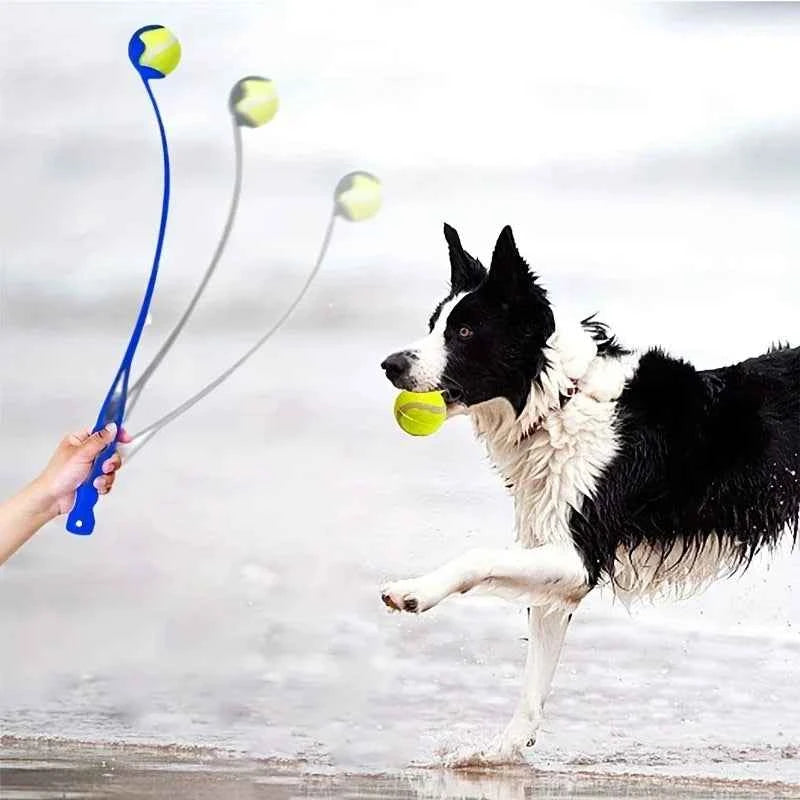 Pet Ball Thrower