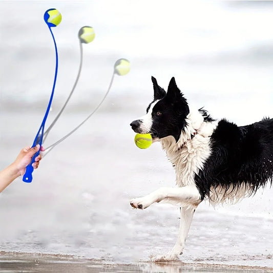 Pet Ball Thrower Dog
