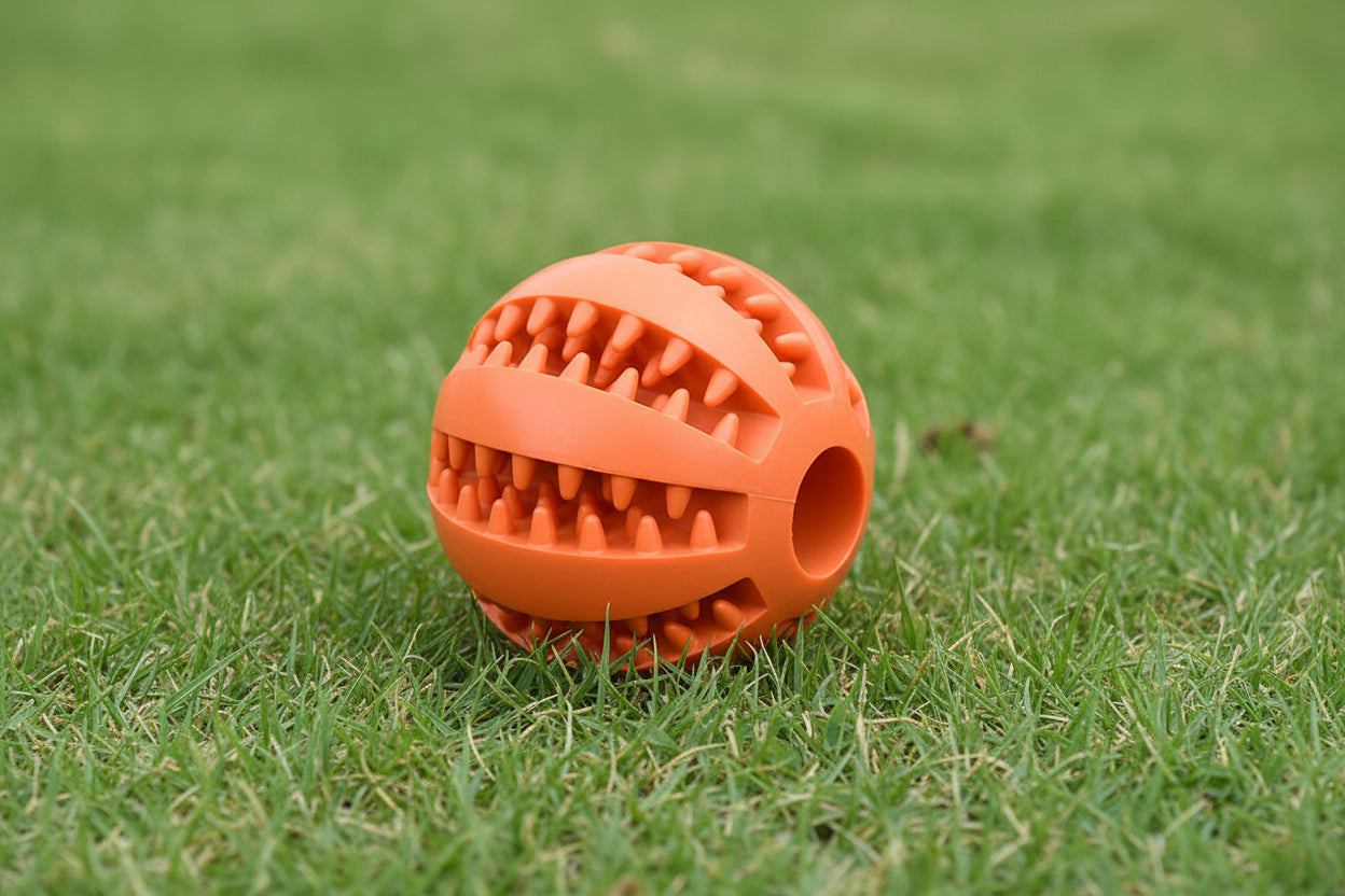 Pet Treat Balls