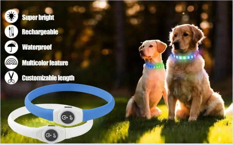 Led Luminous Dog Collar
