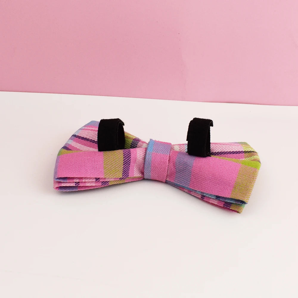 Custom Name Collar & Bowtie