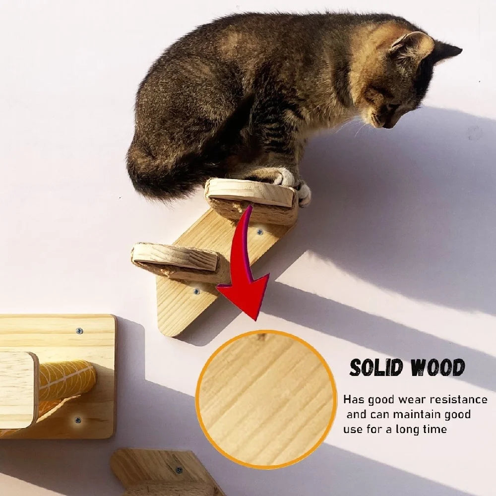 Wooden Climbing Steps