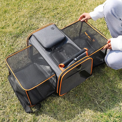 Portable Foldable Pet Carrier