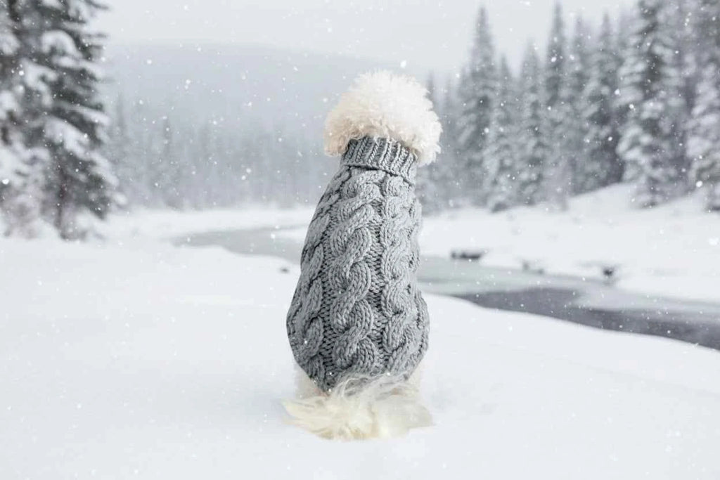Pet Sweater