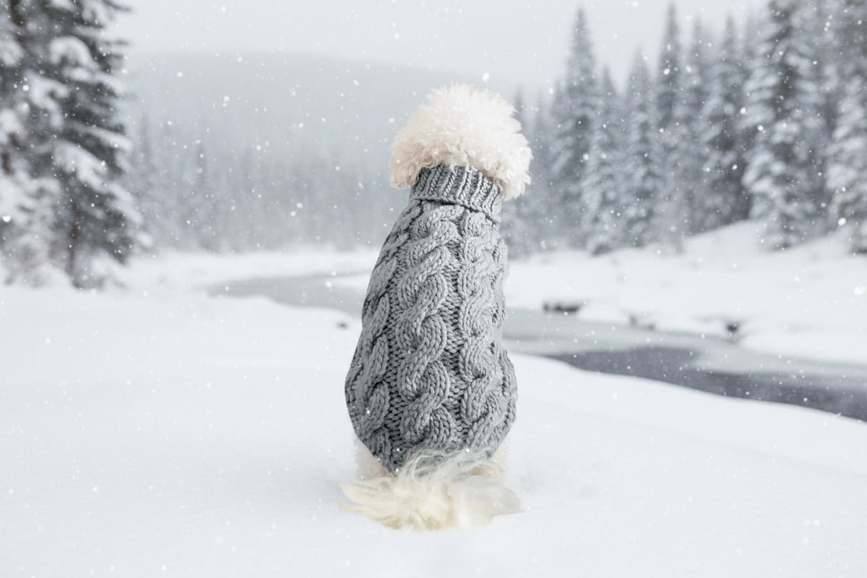 Pet Sweater