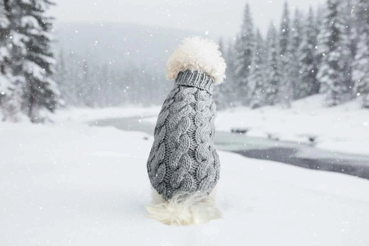 Pet Sweater