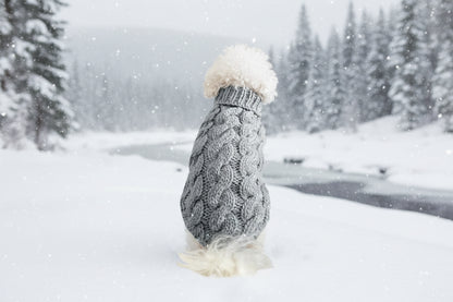 Pet Sweater