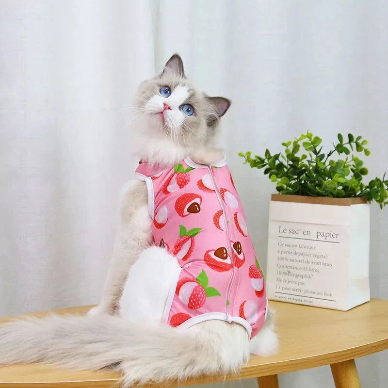 Kitty Recovery Pajamas
