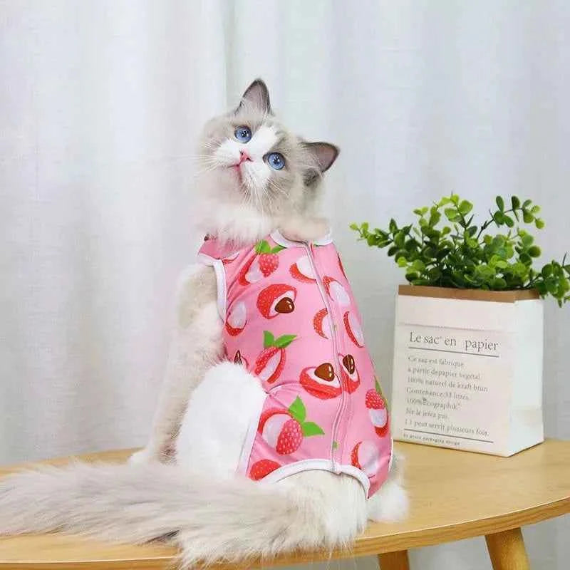 Kitty Recovery Pajamas