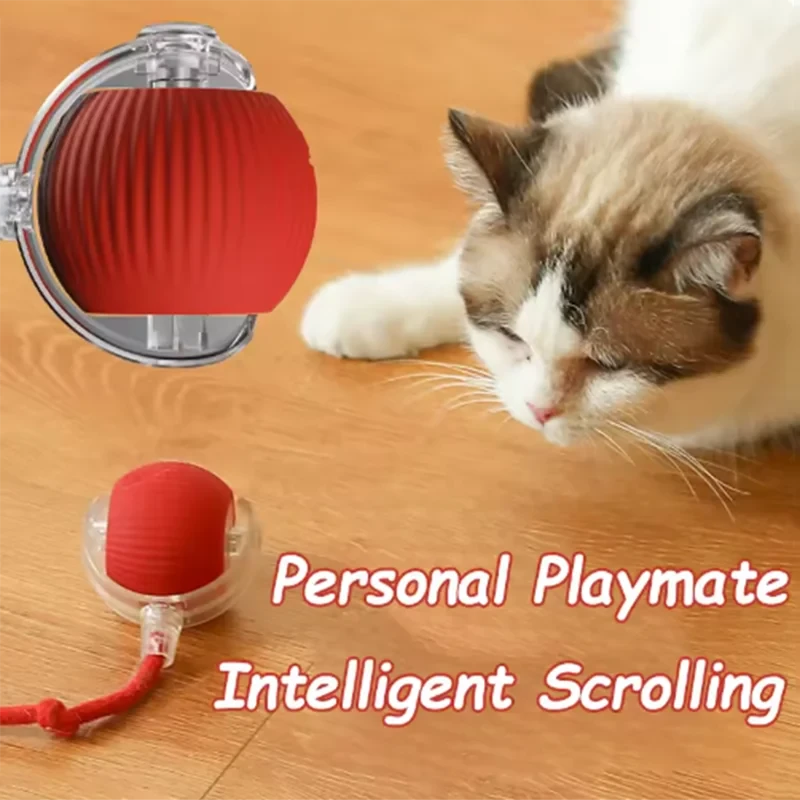 Pet Auto Fetch Ball