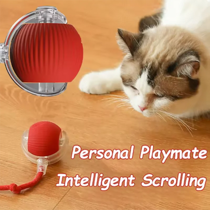 Pet Auto Fetch Ball