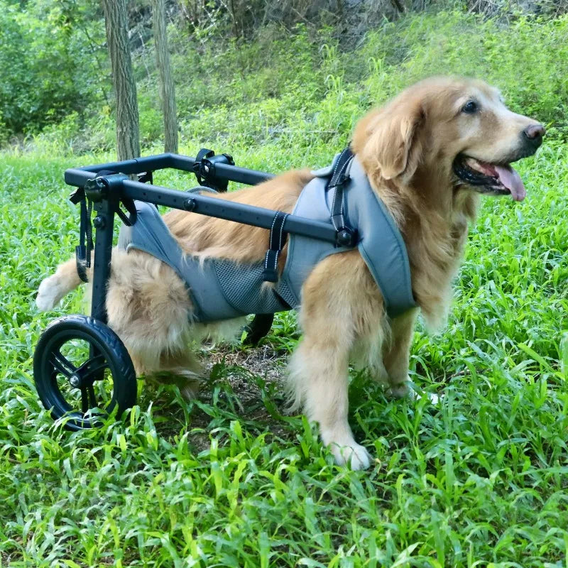 Pet Rehabilitation Mobility Cart - Waggy World