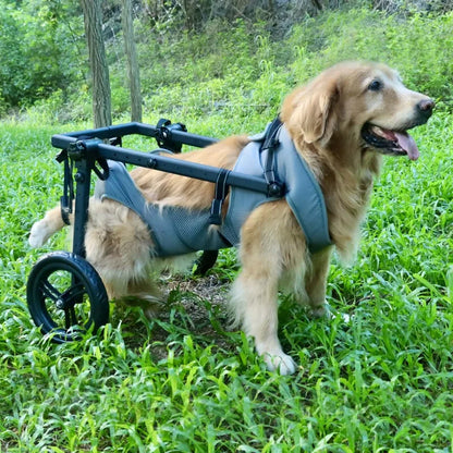 Pet Rehabilitation Mobility Cart