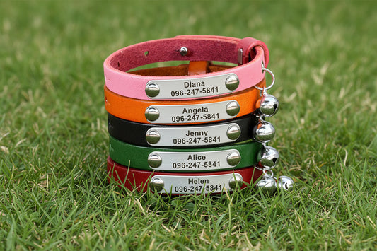 Personalized Cat Collar