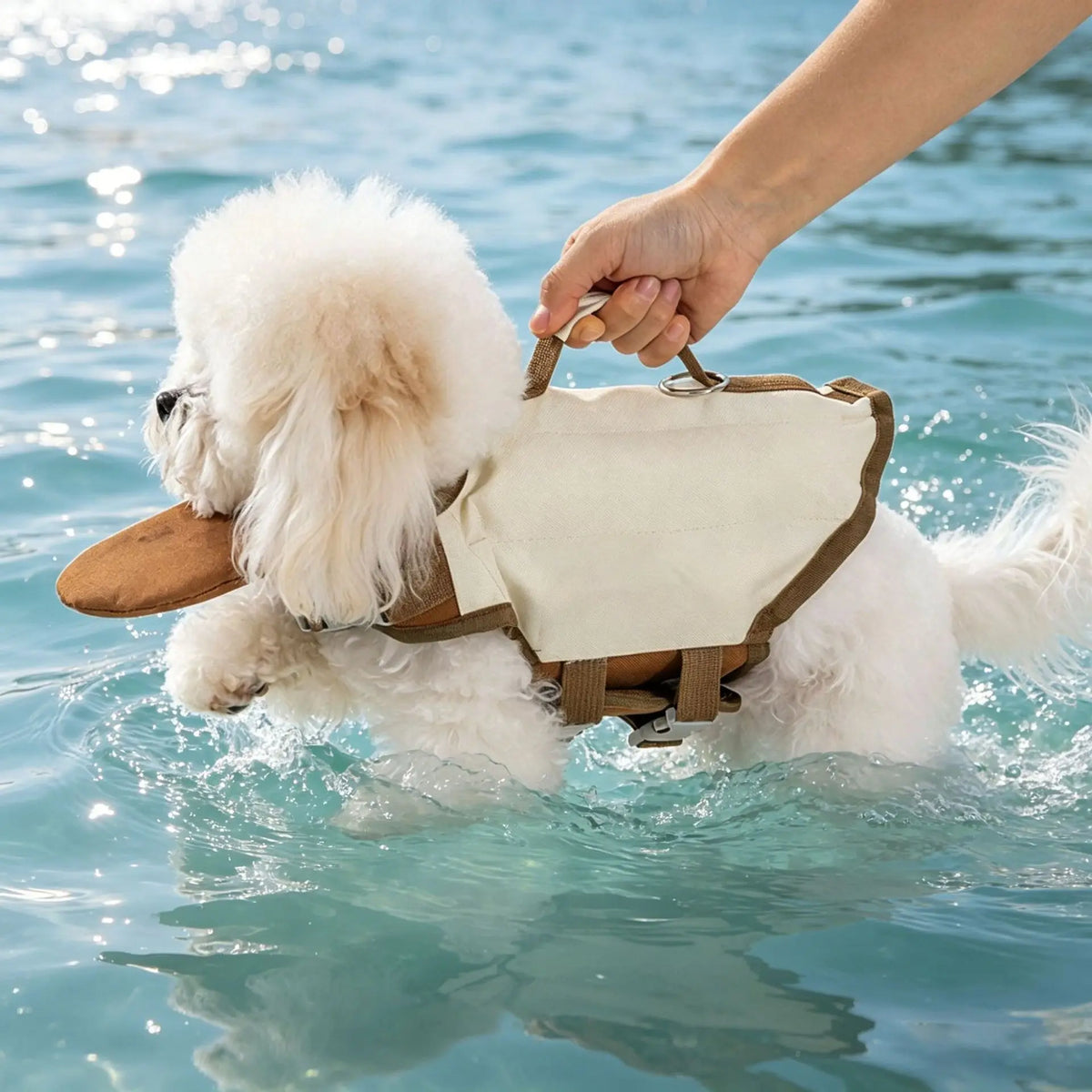 Dog Life Jacket with Rescue Handle for Swimming