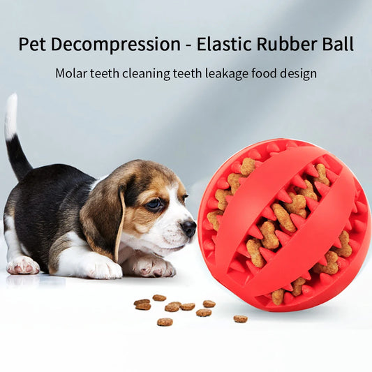 Pet Treat Balls