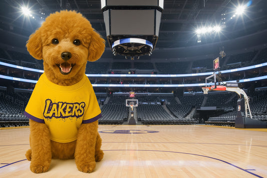 Lakers Lebron James Pet Jersey