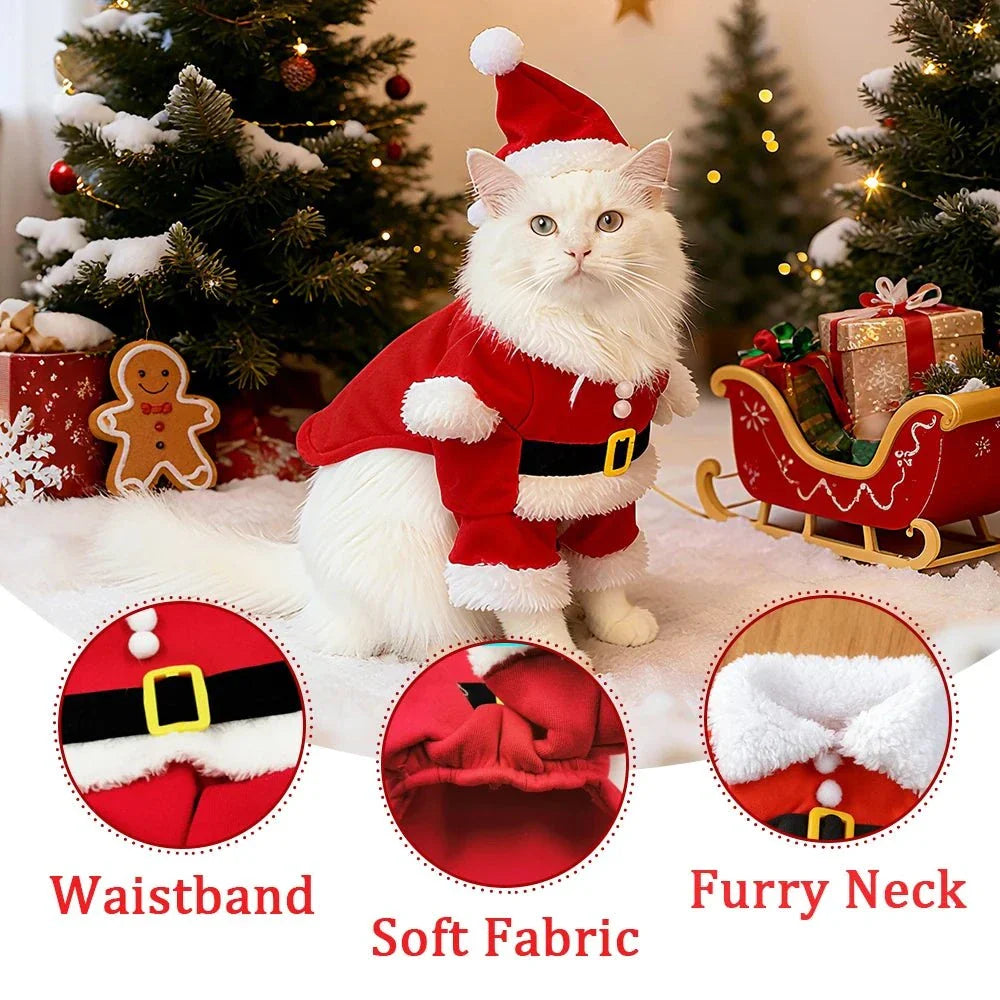 Cat Holiday Santa Suit