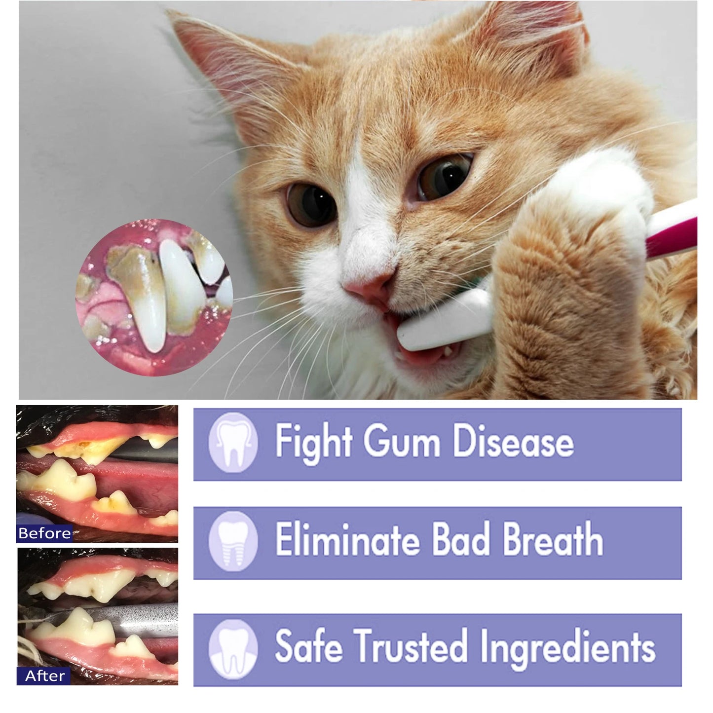 Pet Tarter Control Toothpaste
