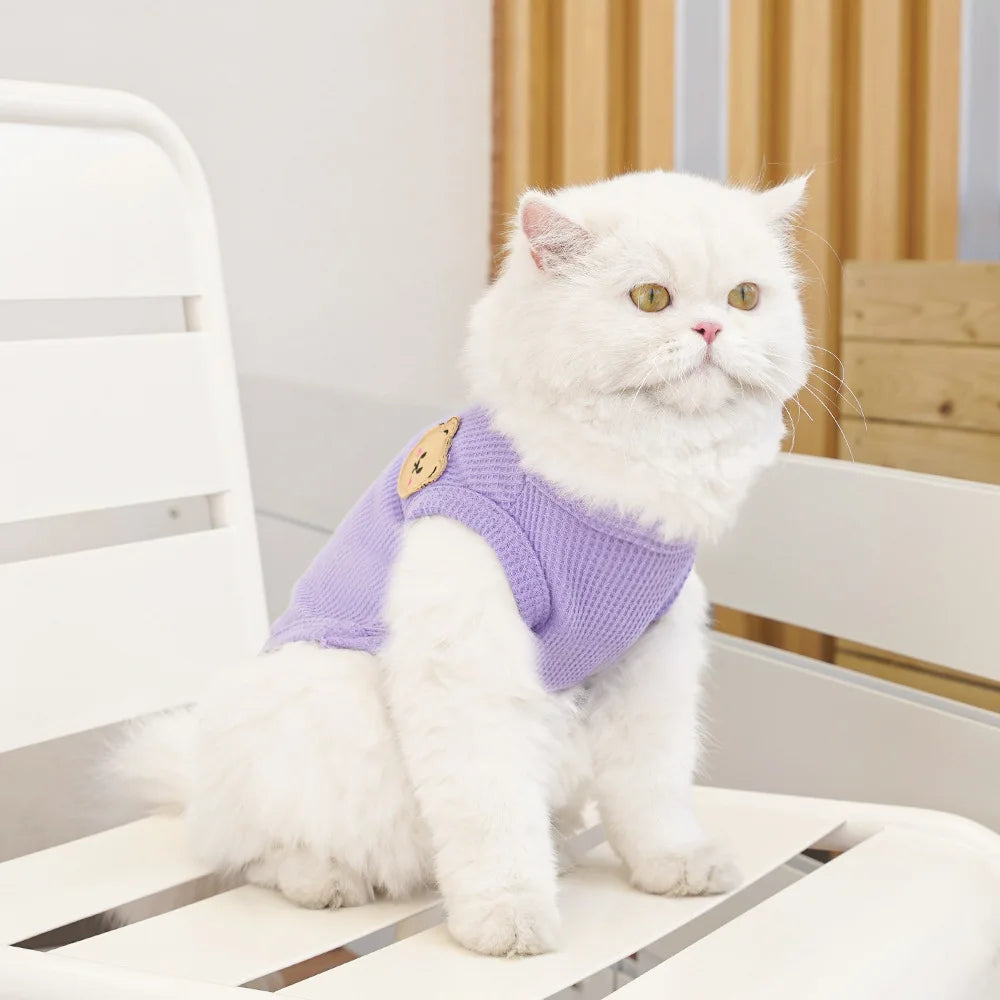Cat Clothes Waffle Bear Pet Vest Summer Teddy Chihuahua Small Dog Two legged Clothes Cat Puppy Clothes Pet Costume