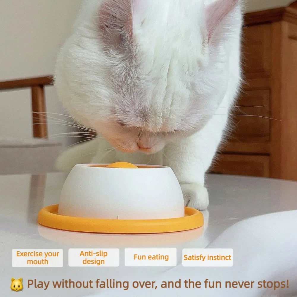 Pet Slow Feeder