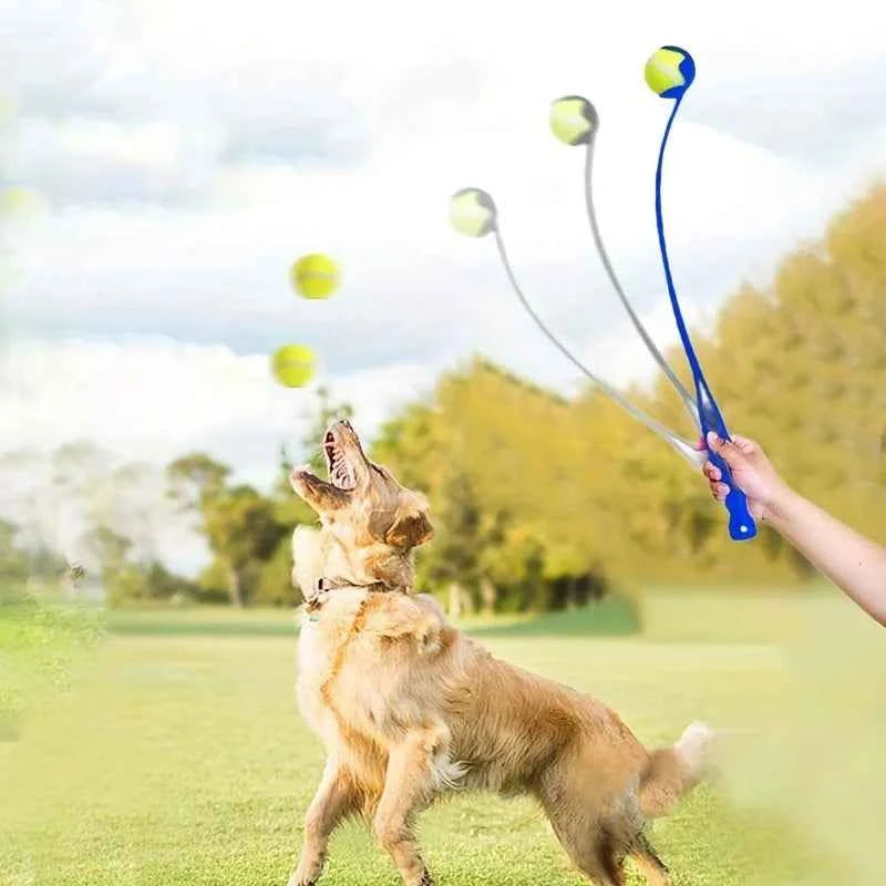 Pet Ball Thrower
