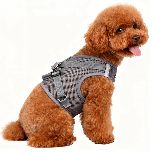 No Pull Dog Harness Vest offers comfort, control, and a secure fit for daily walks, training, hiking, and outdoor adventures with your dog.