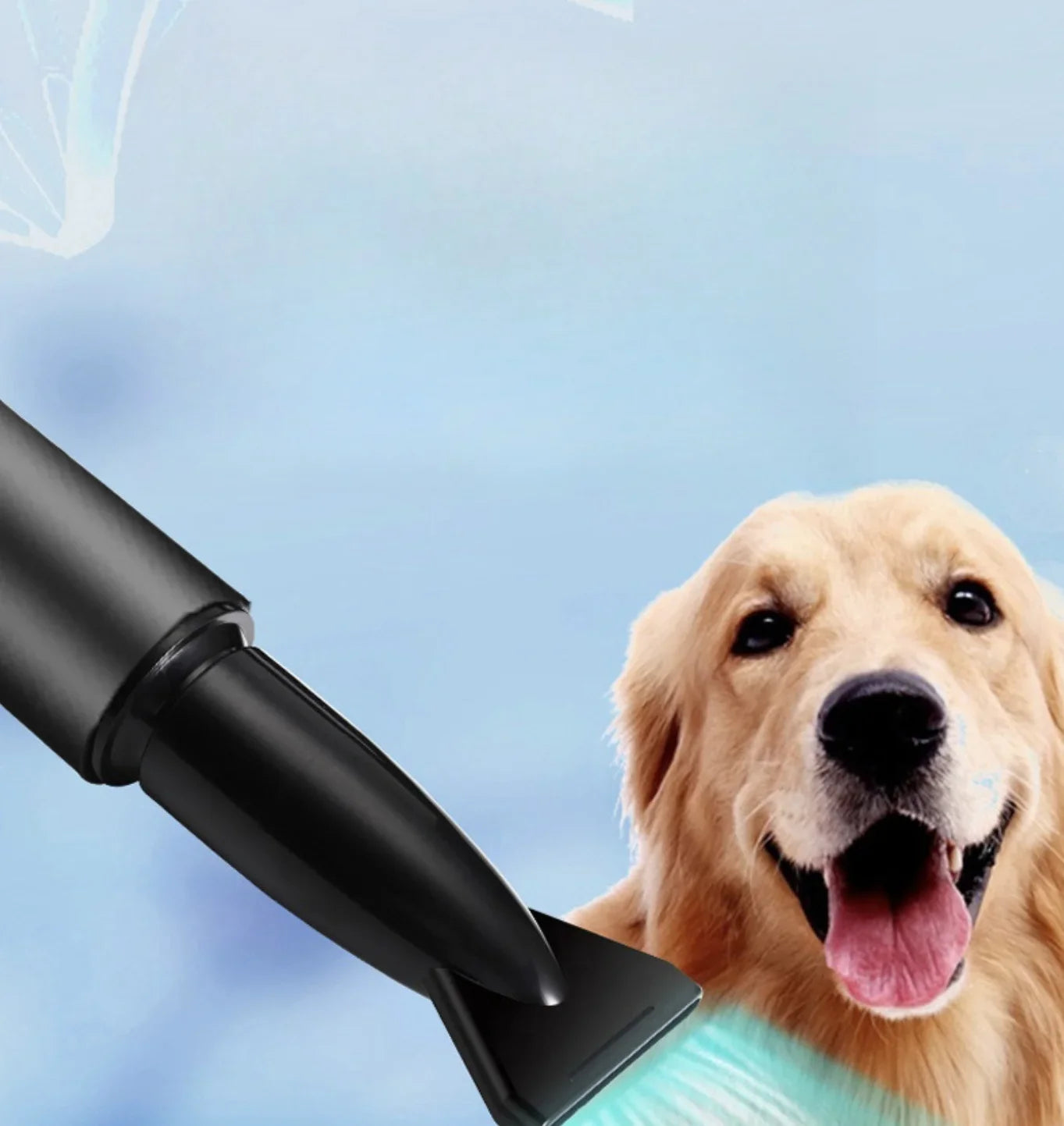 High-Power Pet Hair Dryer