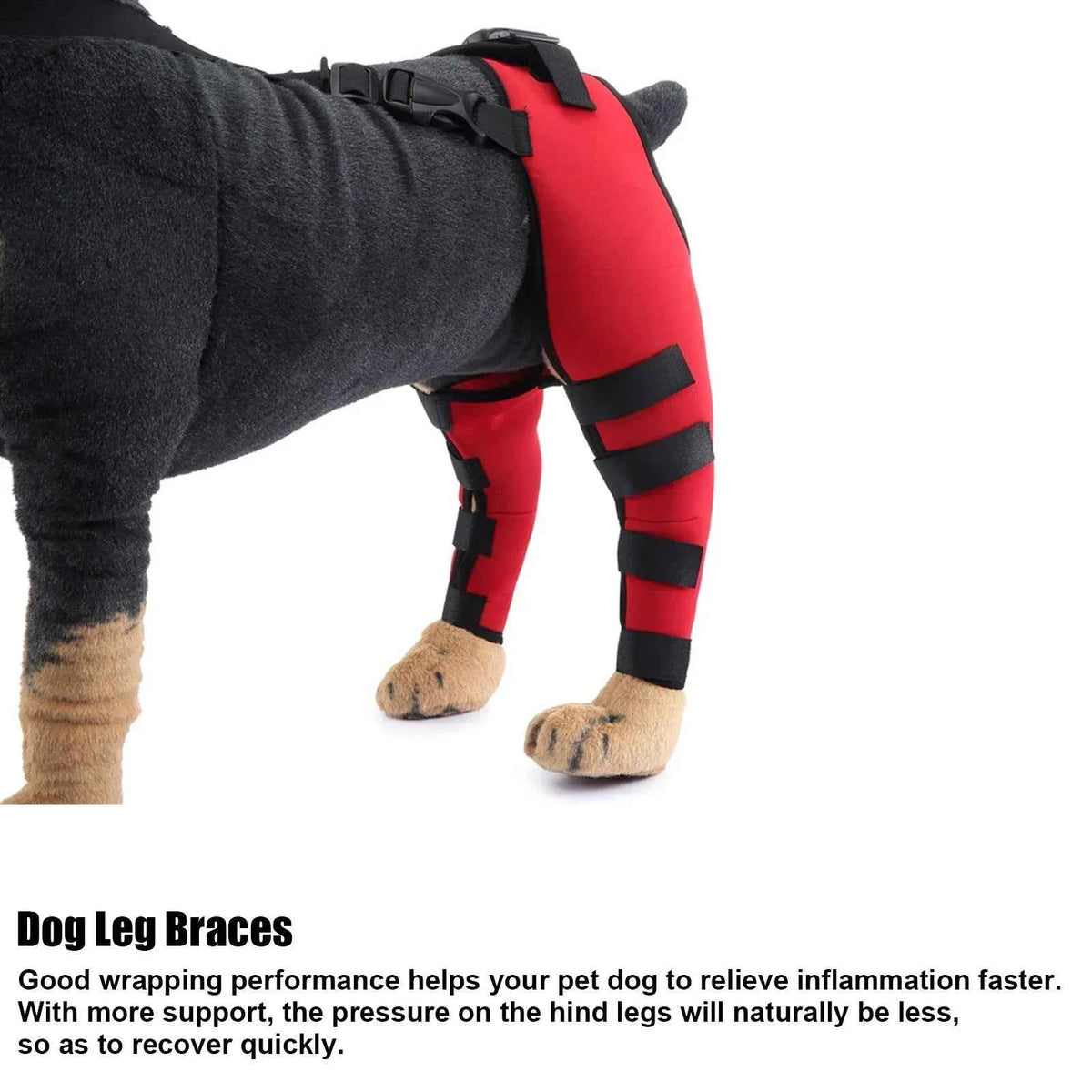 Small Breed Leg Brace