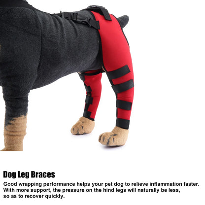 Small Breed Leg Brace