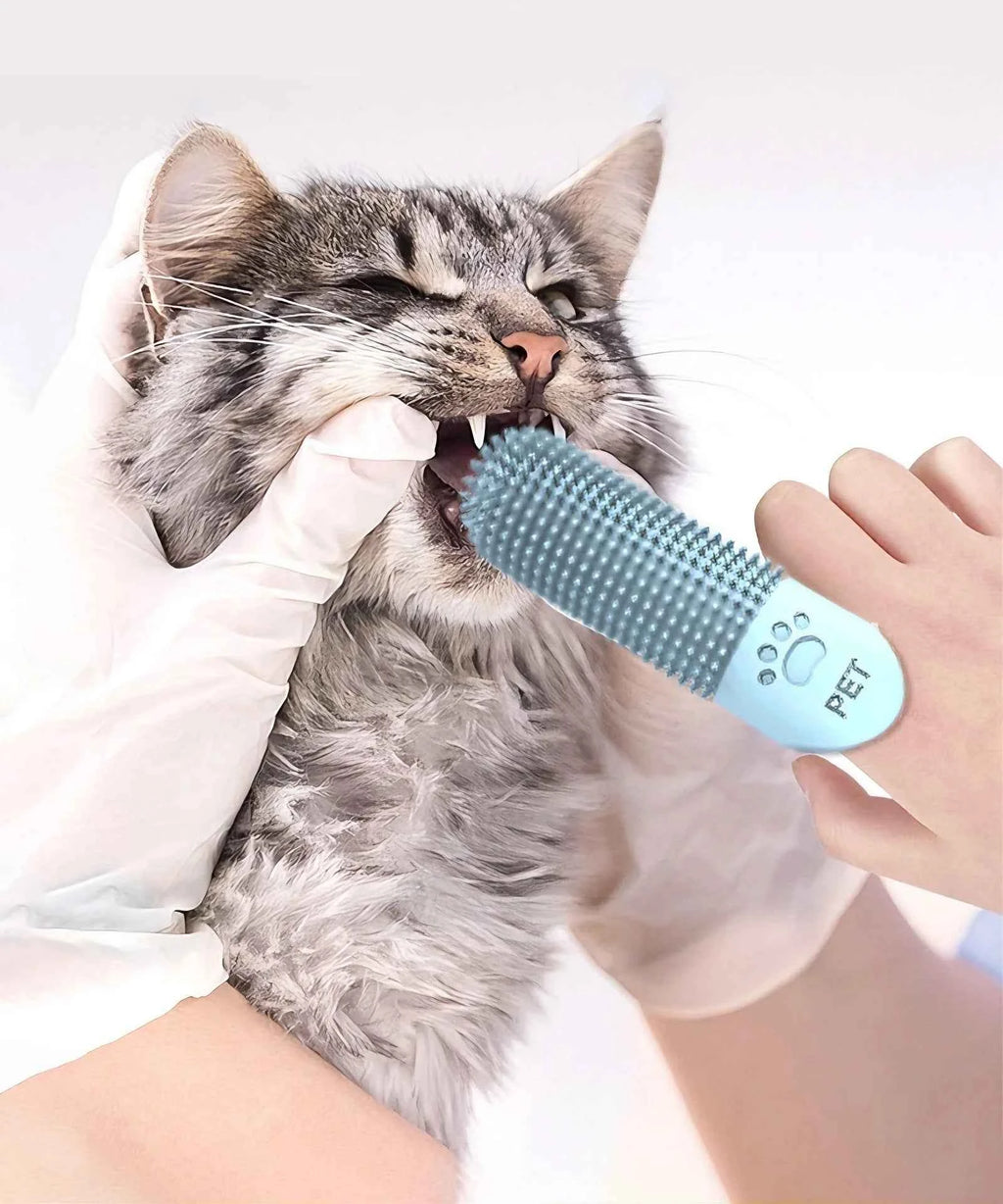 Pet Teeth Cleaning Tool